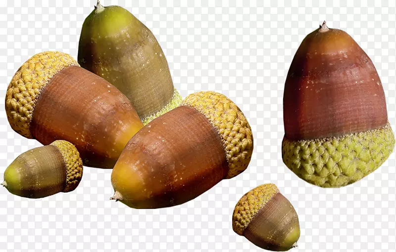 ����������-����-������