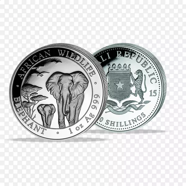 ������˾����������Ӳ��-������