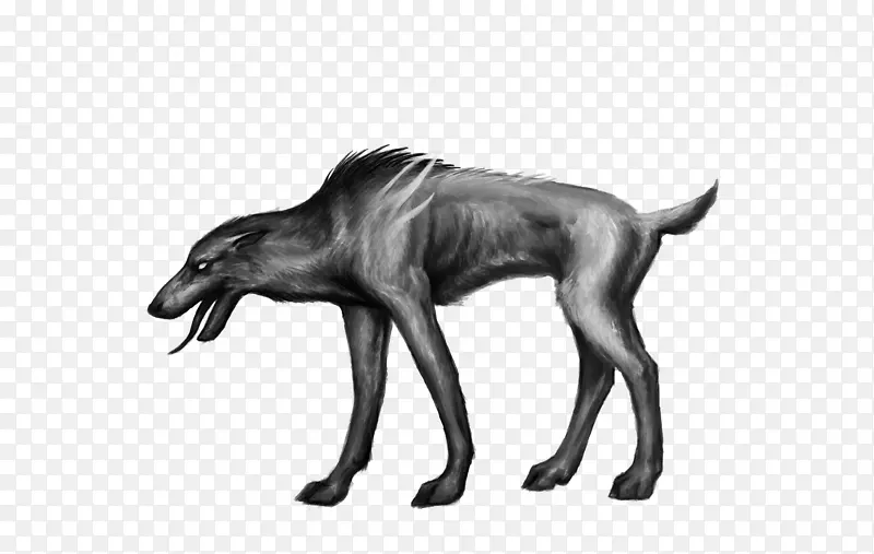 ����ɫҰ������Ȯ��Ȯ-������