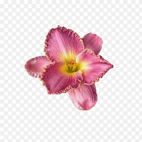 �����л��ٺϻ���-������