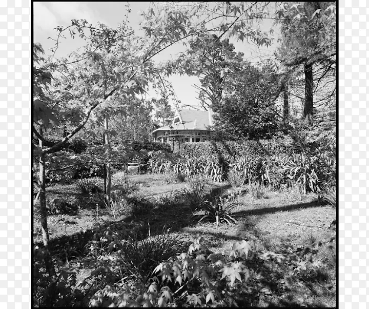 ��˹�����ﱱ��·�Ĵ�����լ��������ѷ���ɺ�լ-������