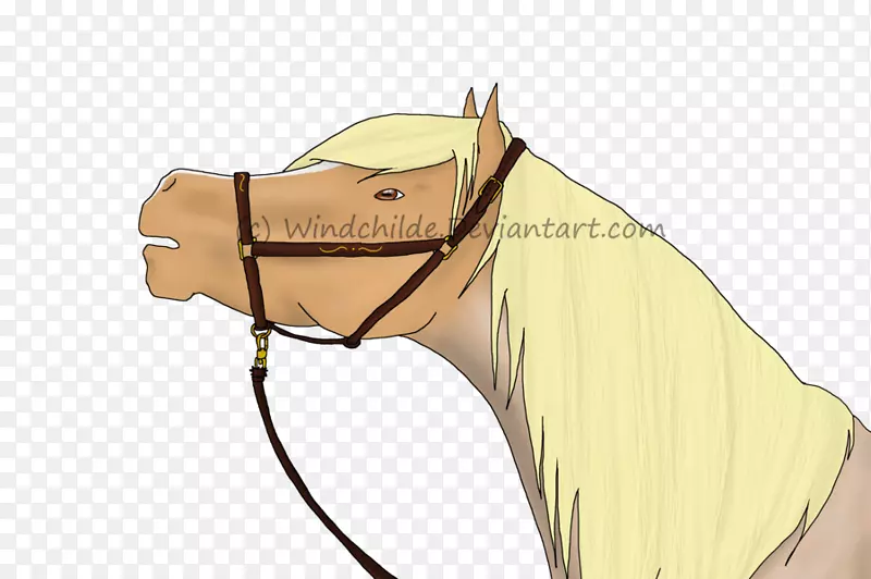 ��ָ��ͨ�°�-��������-������