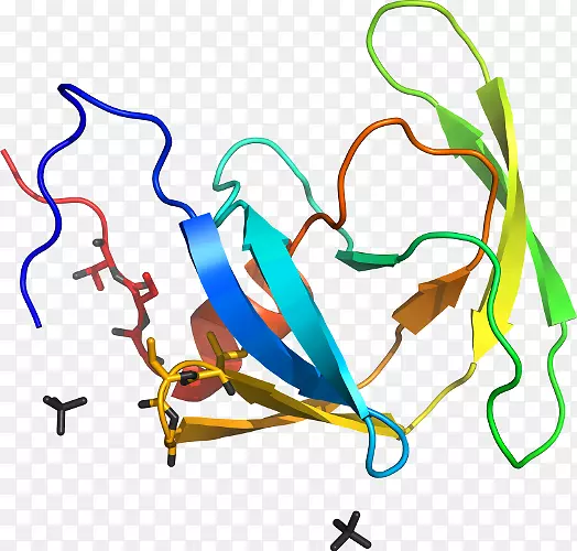 Ҷ�ߵ������-Ҷ-������