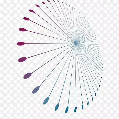 Բ���-Բ-������