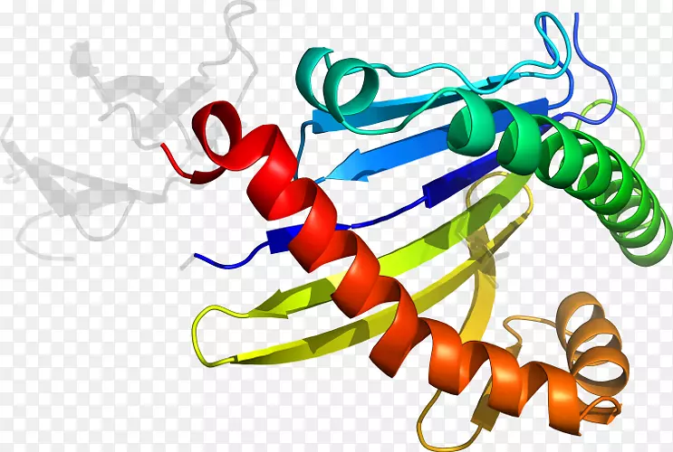 �����߲��ߺ��������-����-������