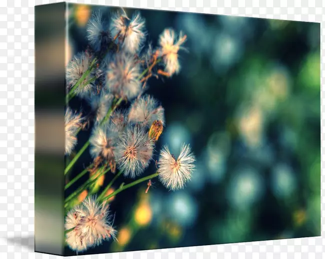 ���滭�Ȱ����������ֽ����.����-������