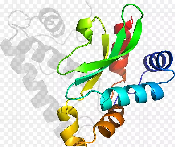 ʳƷֲ�ﾥ���������-������