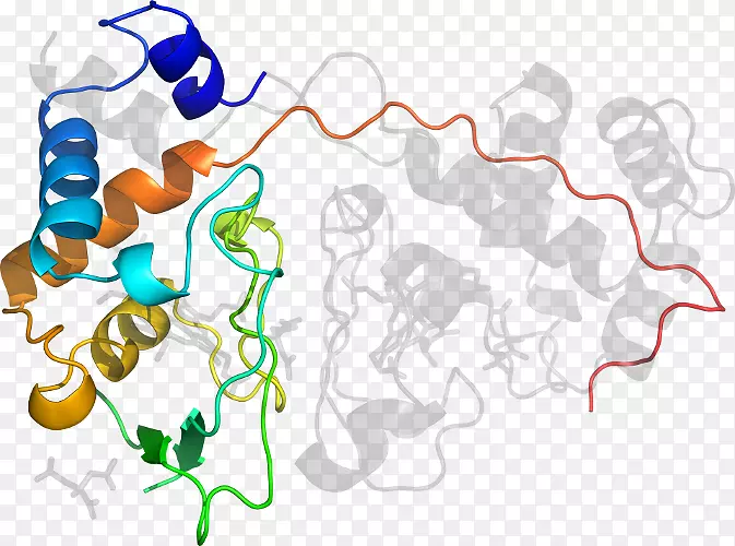 �ߵ������-��-������