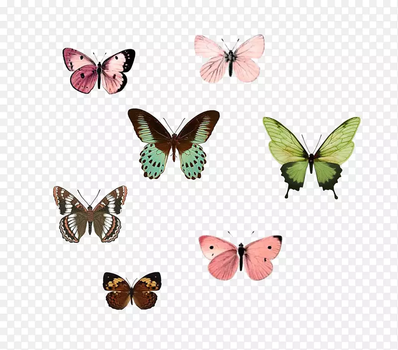 ���������滭��-������