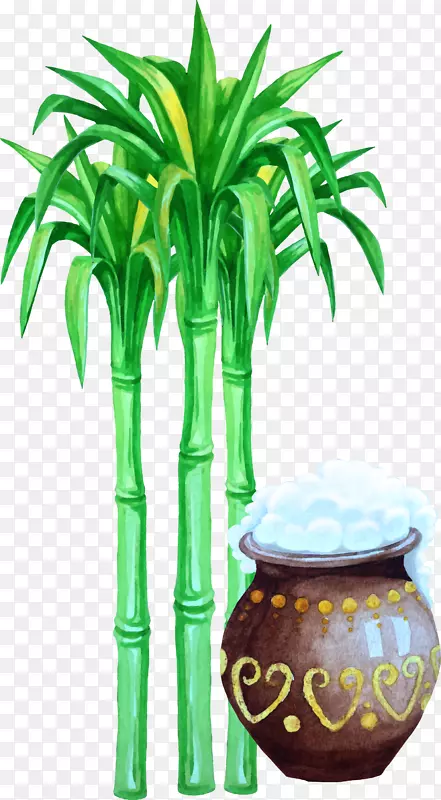 ����÷��ˮ�ʻ���Ҷ-������