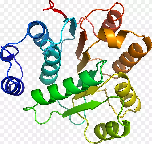 Ь�����߶����������-������