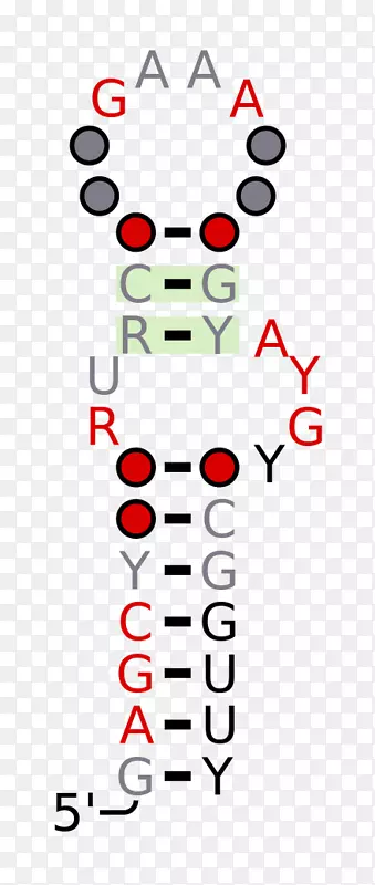 ֱ�ߵ�Ǽ���������-������