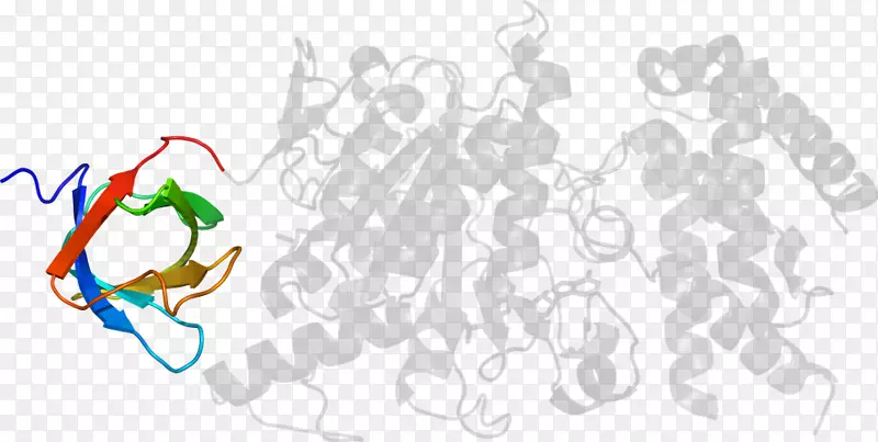 ���������-������