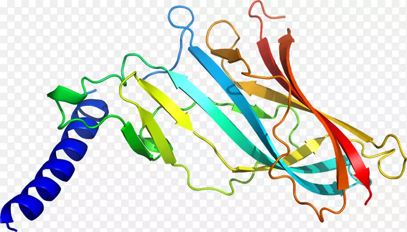 ƽ������ߵ��������-������