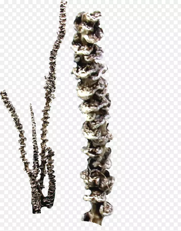 ��������.����-������