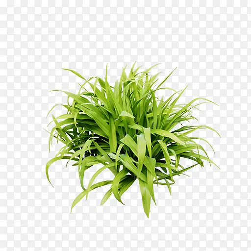 ��ƺ��-һ���̲�-������