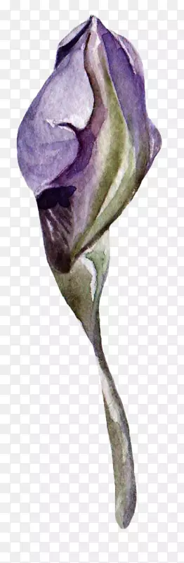 ��ɫˮ�ʻ���ͼ.��ɫ����-������