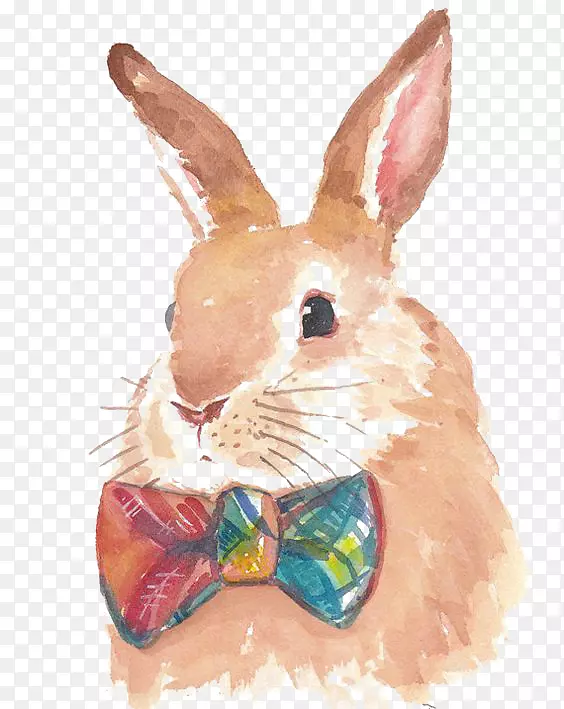 ��ˮ�ʻ��ֻ���-������