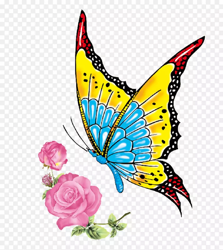 ����ë�ʺ����������������-������