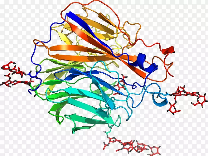 ƽ������ߵ��������-������