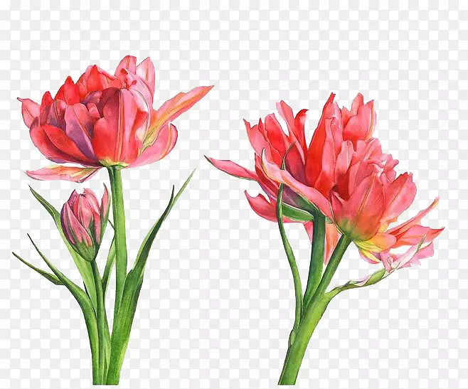 �������ˮ�ʻ����������㻨ˮ�ʻ�-������