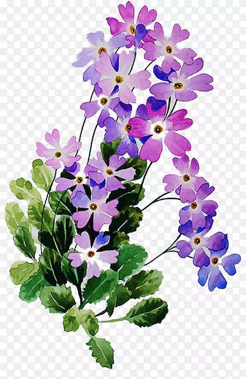 ������ƻ��������ٲݱ�ֲ��-��-������