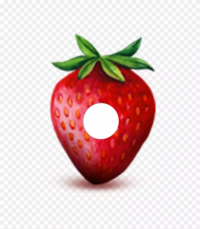 ��ݮˮ�ʻ�������-��ݮ-������