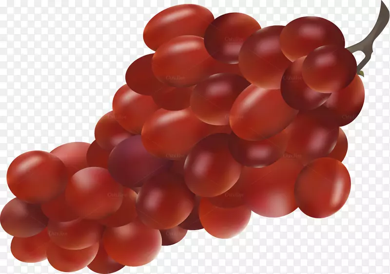 ��������ȡ��ڴ����޺�ˮ����ȻʳƷ����-������