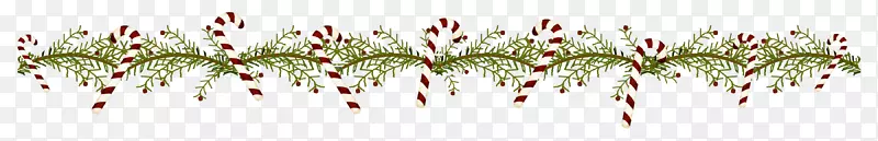 ϸ֦��ֲ�ﾥϵ-������