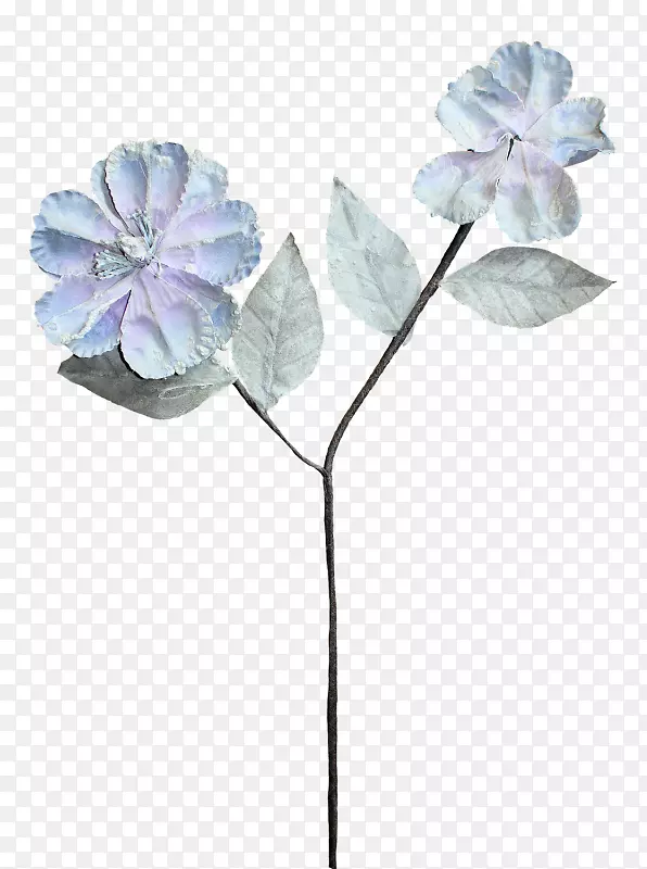 �л���԰õ�廨�����-������