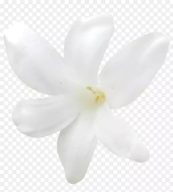 �������ƻ���-������