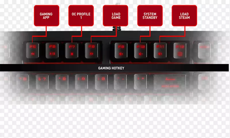 Nord������̨��ý��.���-������