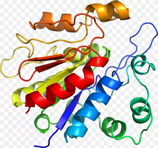 �߲��л���ϵ�м�����-�߲�-������