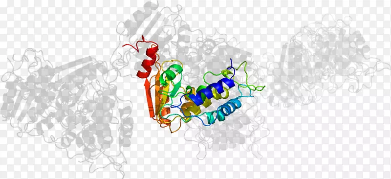 �̱�-����-������