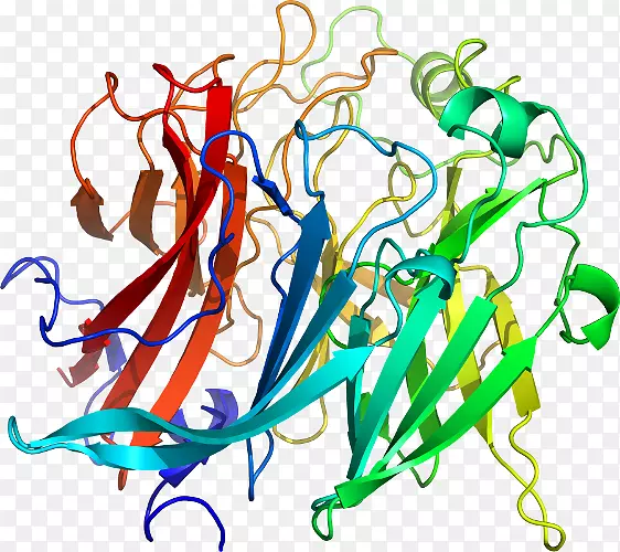 �ߵ������������-������