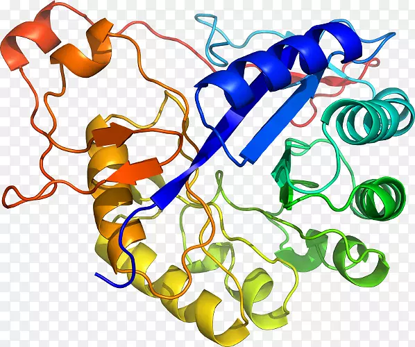 �ߵ������������-������