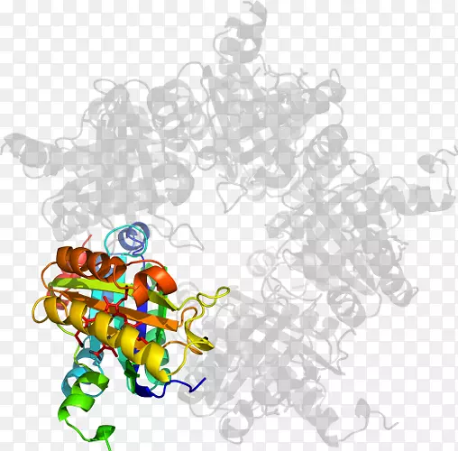 �ߵ�������-������