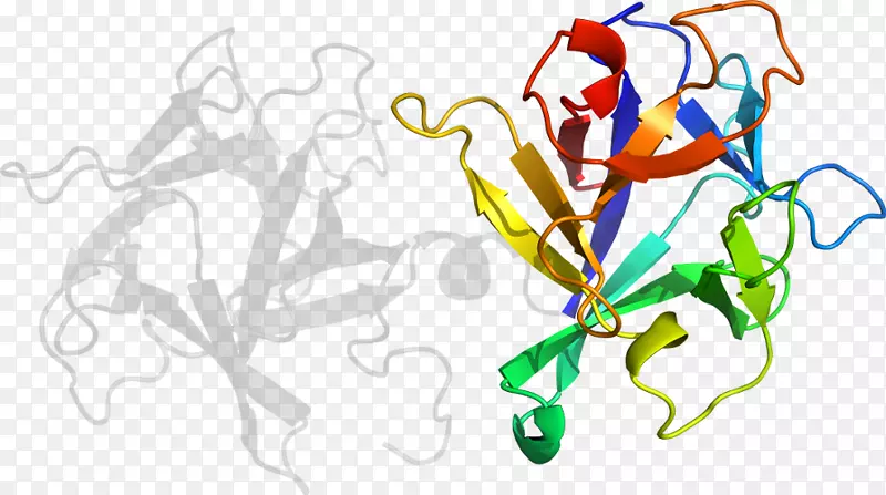 ƽ����Ƽ�����.���-������