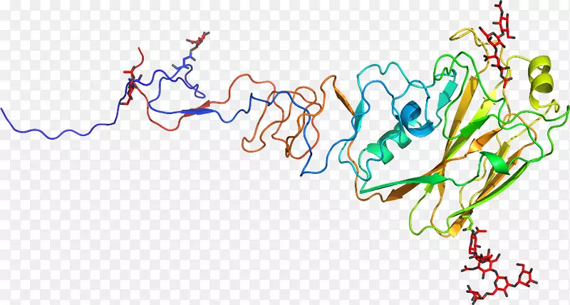 �����ߵ���-������