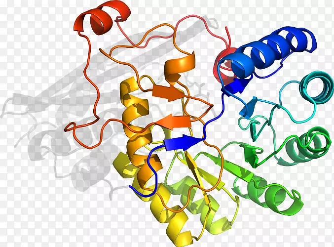 �ߵ������������-������