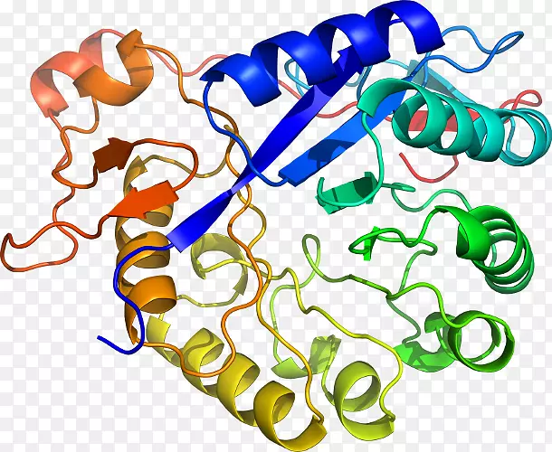 �����鱦�л�������������.�鱦-������