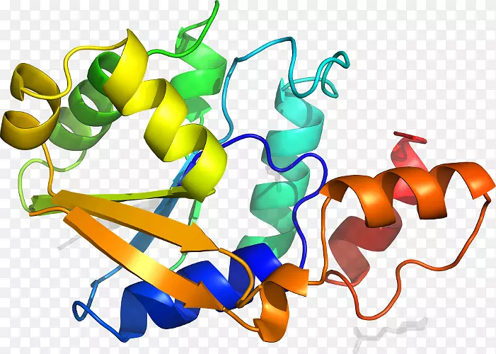 ƽ����Ƽ�����.���-������