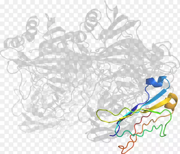 ���������-������