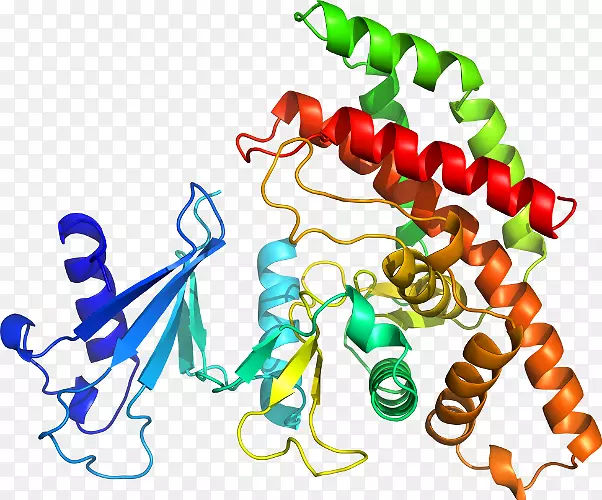 �����鱦�л�������������.�鱦-������