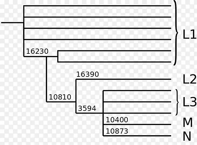 ���޵��߸�Ů������ʾ�����Ŵ����ȵĿ�ѧ������dna������������ǰҹ������-������-������
