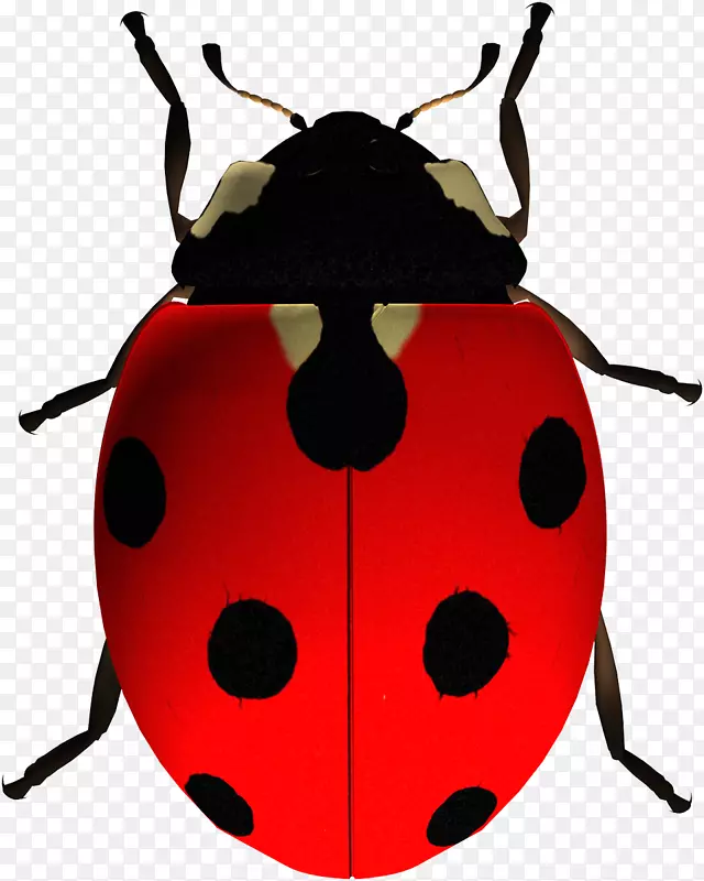 ����ư�������-����-������