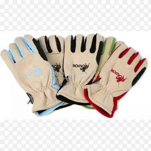 ��ָ���װ�������Ա�������-������