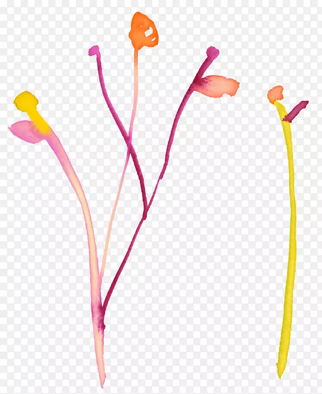 ����adobe��ͼ-�򵥵��ֻ滨����ѧ��-������