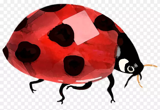 �׳�Ů�������-�׳�-������