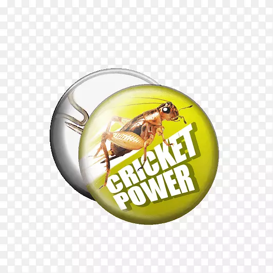 �����ǩʳ�泬�������Դ��-������